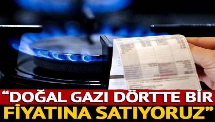 Hazine Ve Maliye Bakan Elvan Dan Do Al Gaz Fiyatlar Yla Ilgili A Klama